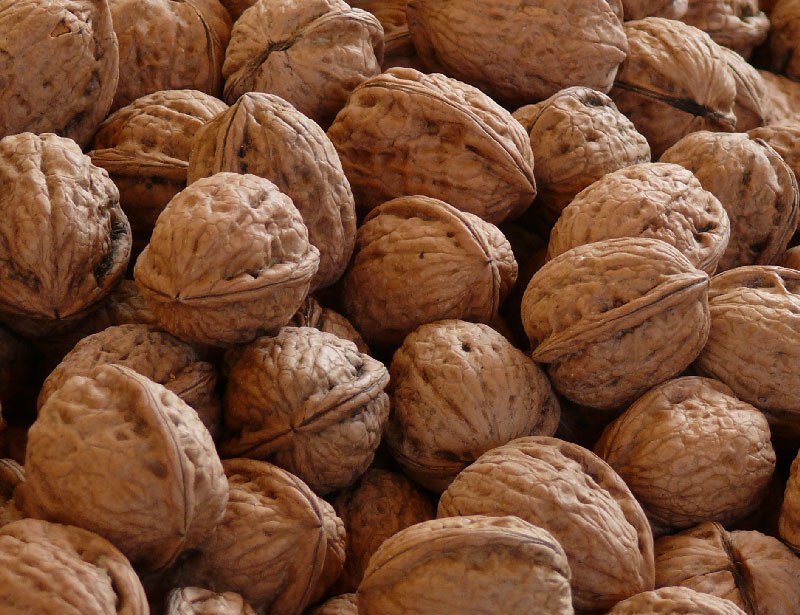 Cerneaux de noix