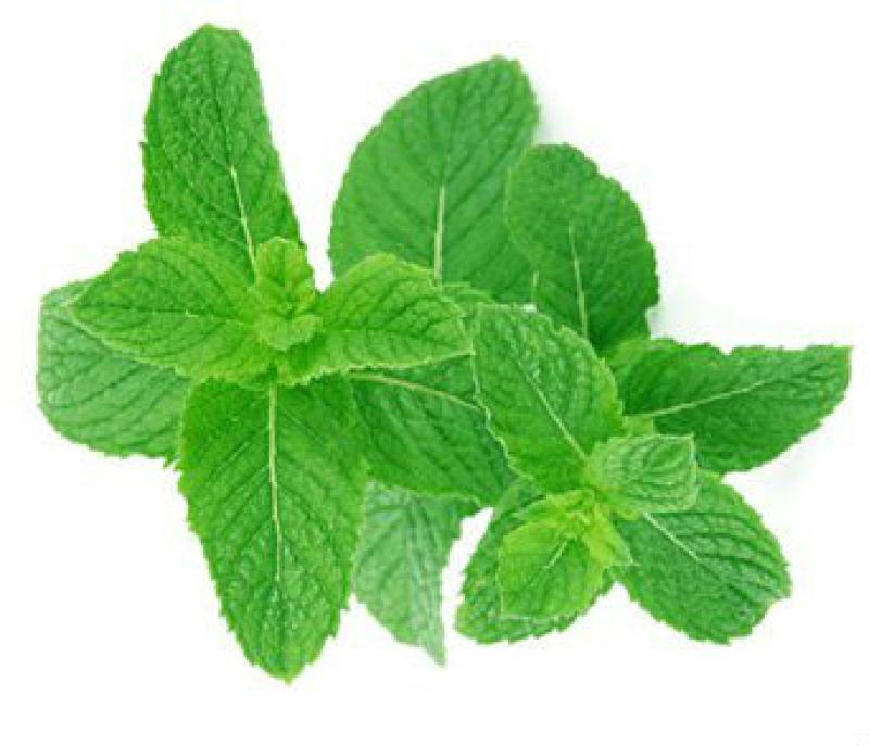 Sirop de menthe