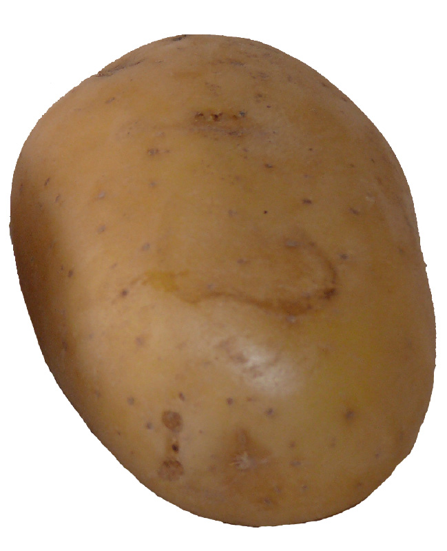 Pommes de terre