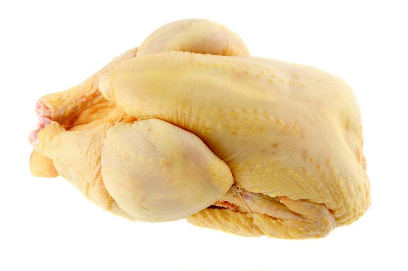 Poule
