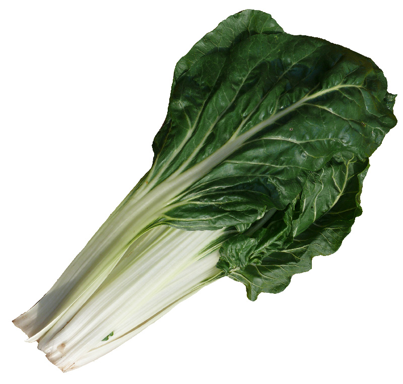 Cotes de blette