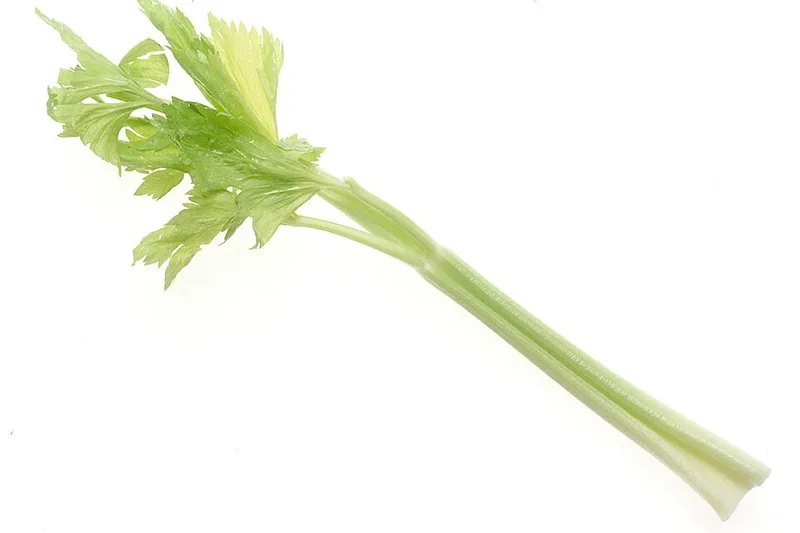 Céleri branche