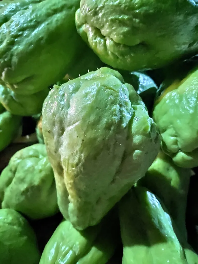 Chayote ou christophine (crue)