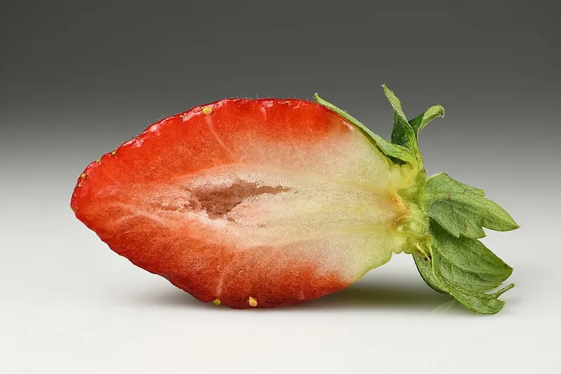 Fraise