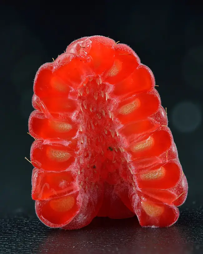 Framboise