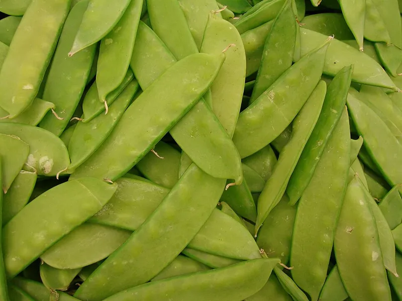 Haricot mange tout