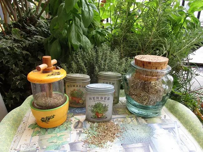 Herbes de provence