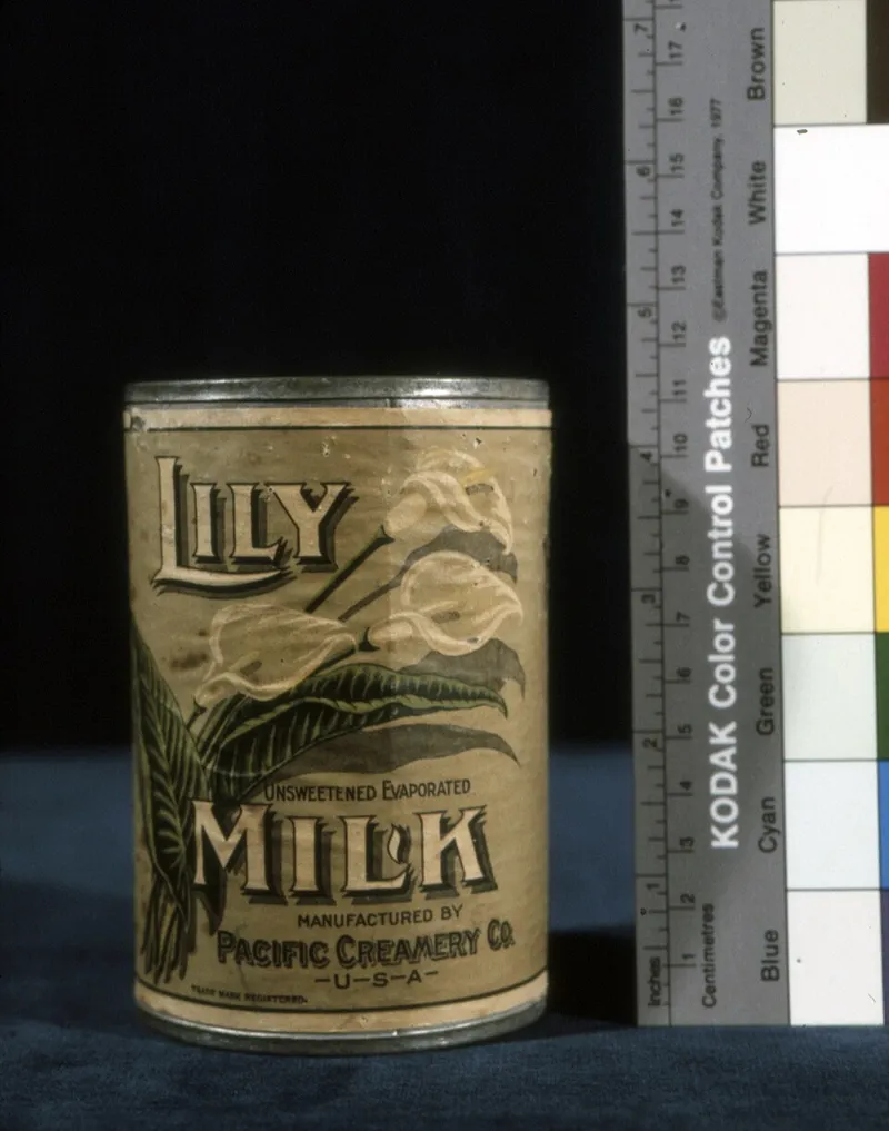 Lait entier concentré