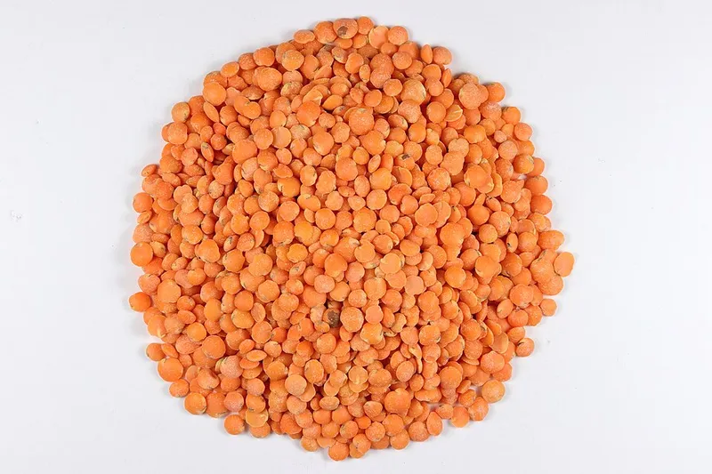 Lentilles corail