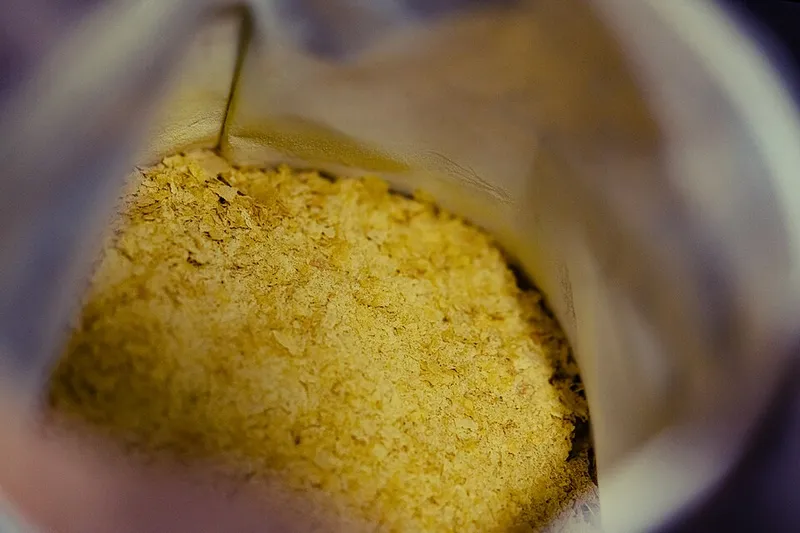 Levure de bière (en paillettes)
