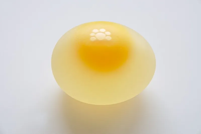 Oeuf