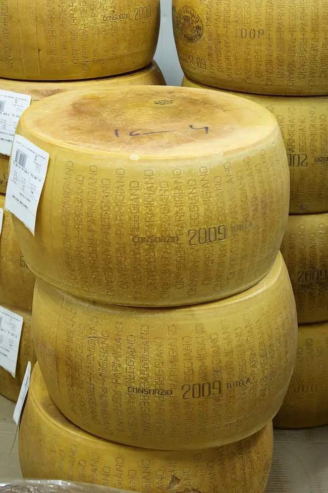 Parmesan