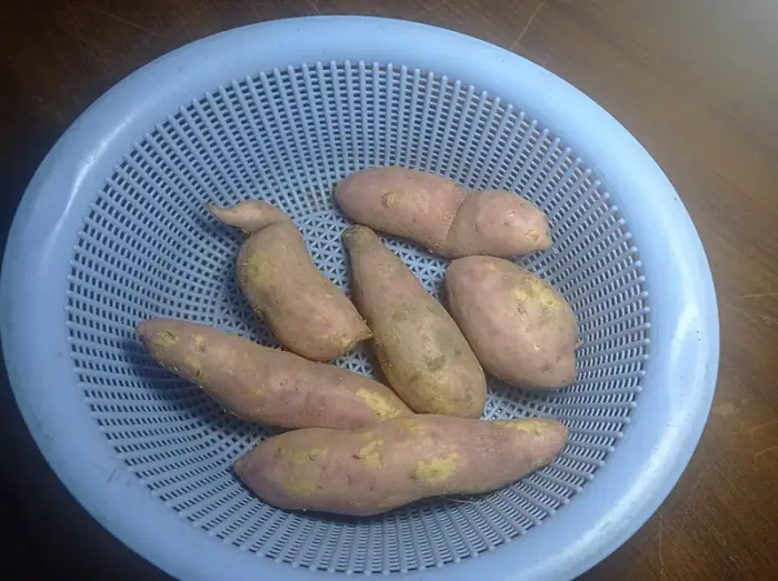 Patate douce