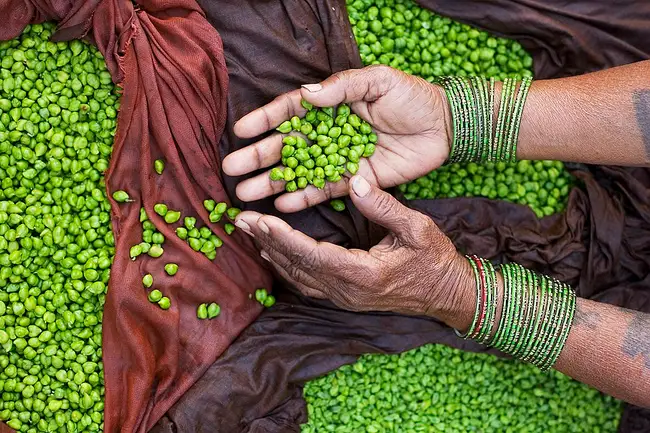 Petit pois