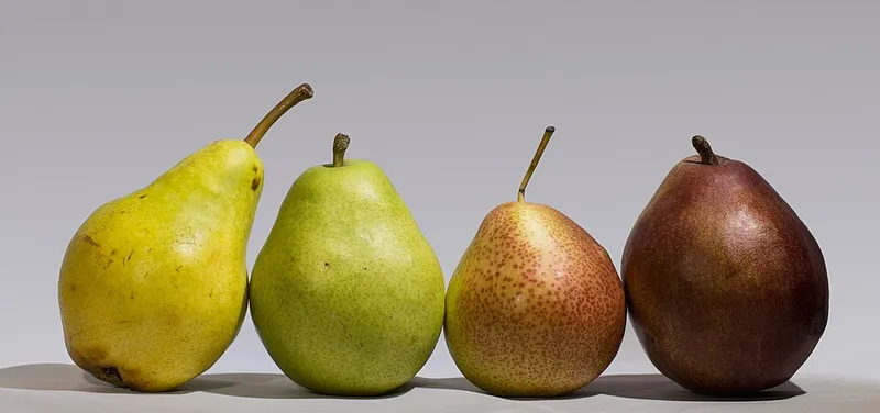 Poire