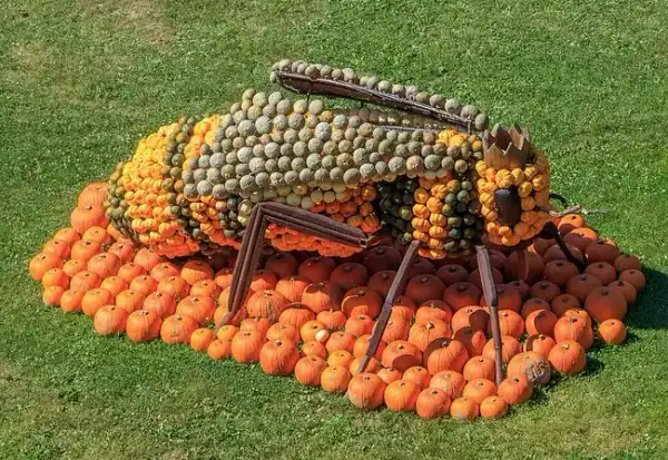 Potiron
