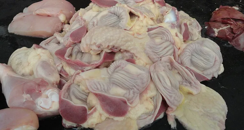 Poulet