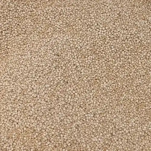 Quinoa