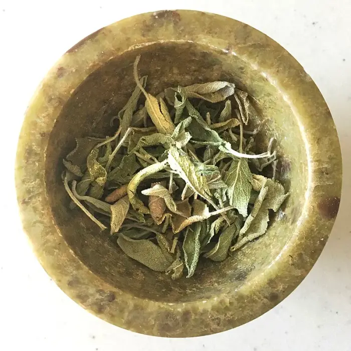 Sauge (feuille)