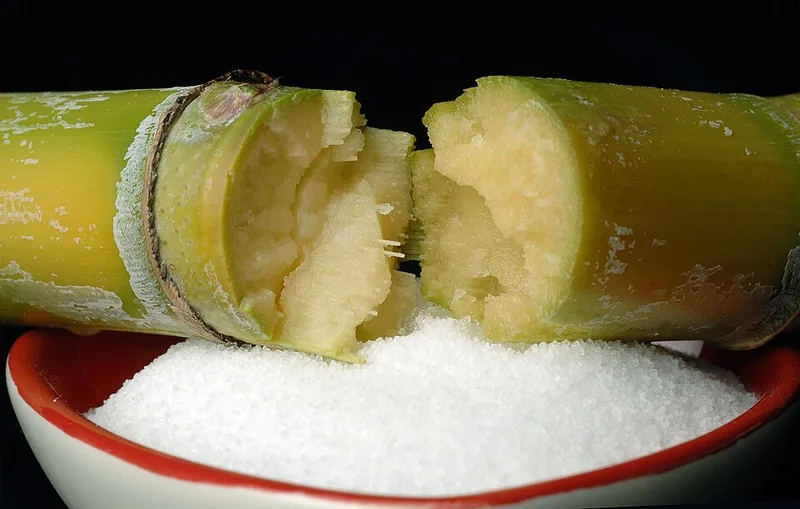 Sucre canne